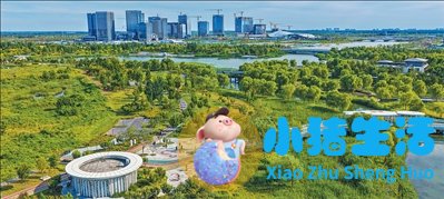 医学前沿 新闻