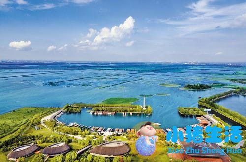 医学前沿 新闻