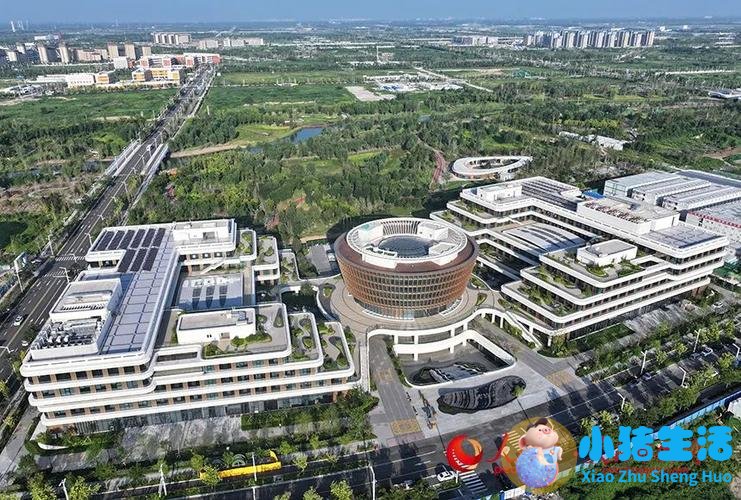 医学前沿 新闻