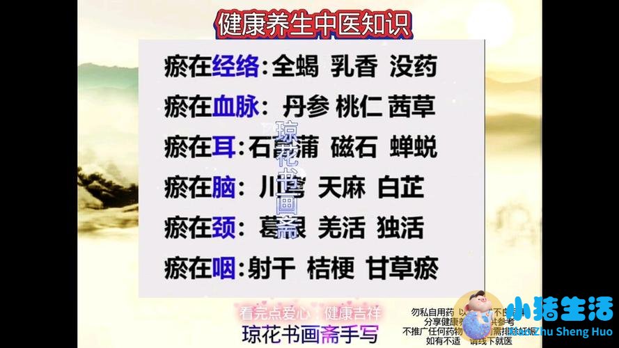 养生食品加盟连锁店