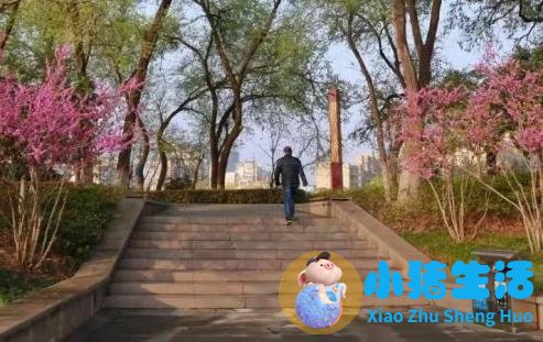 养生食品加盟连锁店