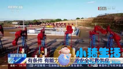 大班家长育儿经验