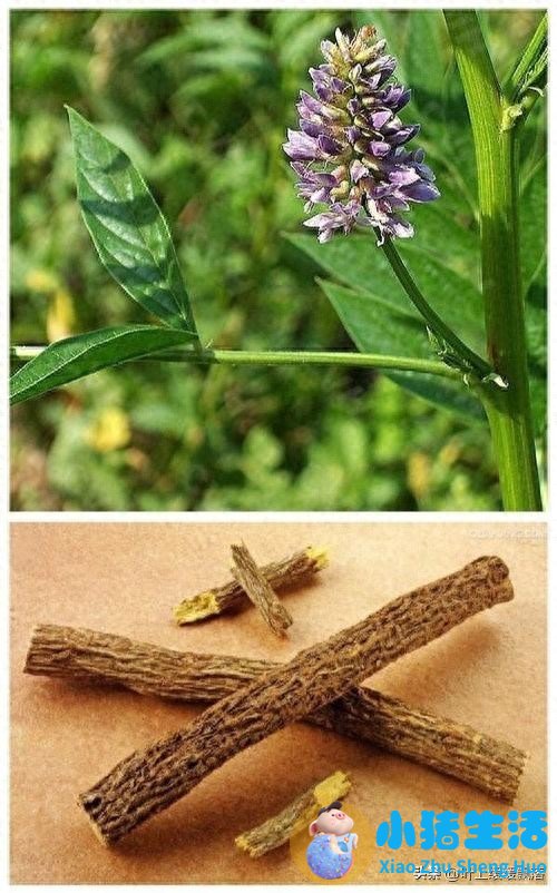 久咳嗽不好有一个8元的药方