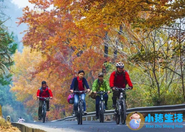 洞头县大自然旅行社有限公司
