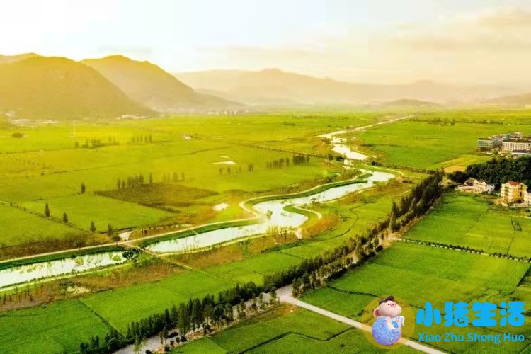 洞头县大自然旅行社有限公司