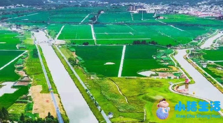 洞头县大自然旅行社有限公司