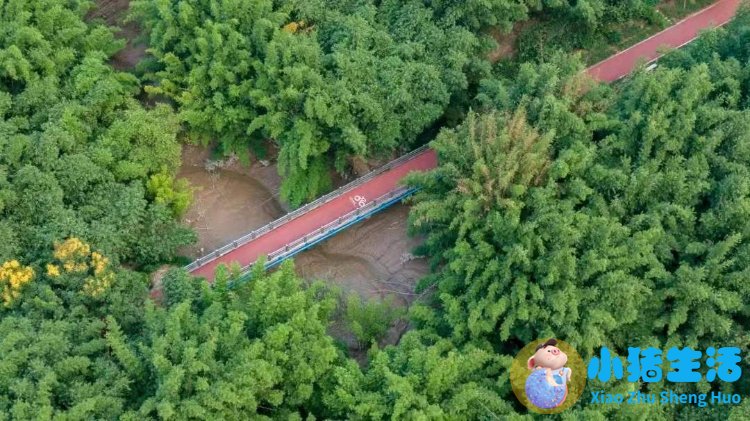 洞头县大自然旅行社有限公司