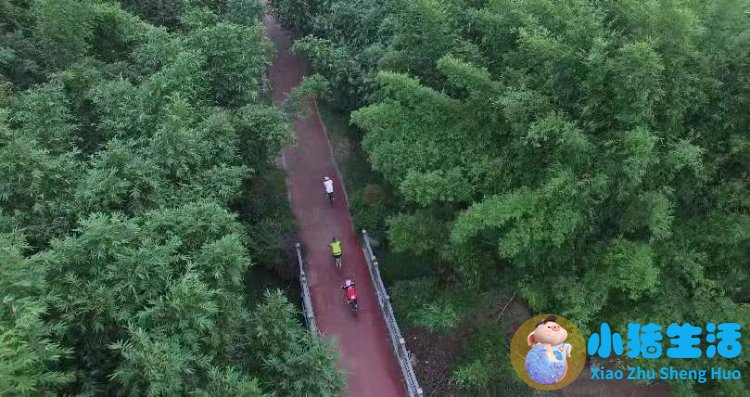 洞头县大自然旅行社有限公司