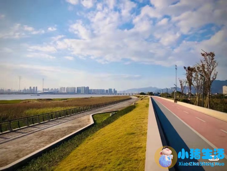 洞头县大自然旅行社有限公司