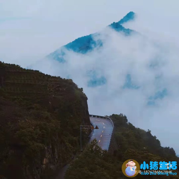 洞头县大自然旅行社有限公司