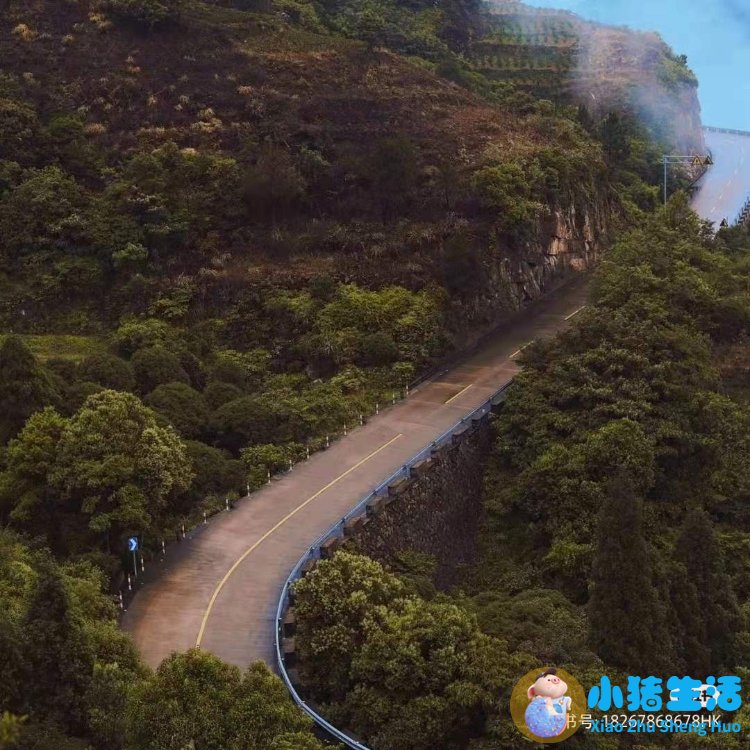 洞头县大自然旅行社有限公司