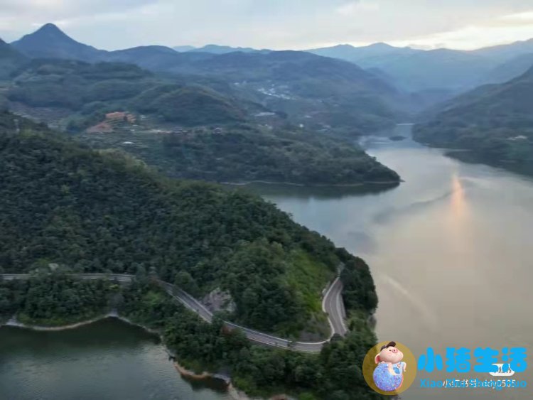 洞头县大自然旅行社有限公司