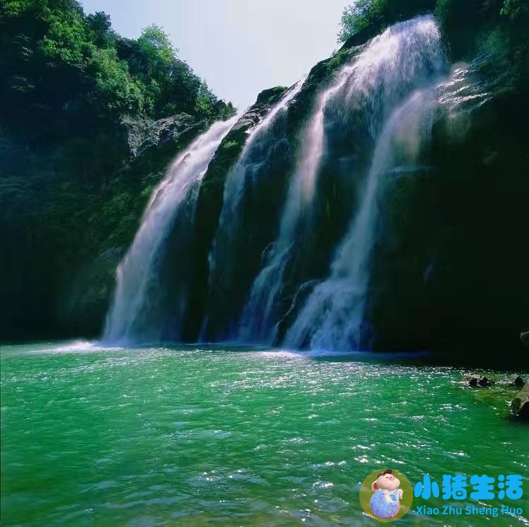 洞头县大自然旅行社有限公司