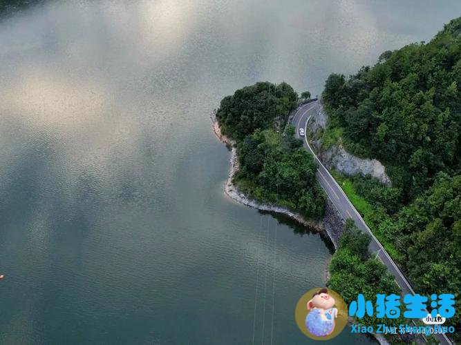 洞头县大自然旅行社有限公司