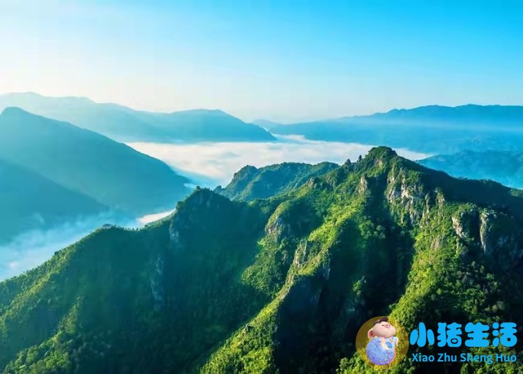 洞头县大自然旅行社有限公司