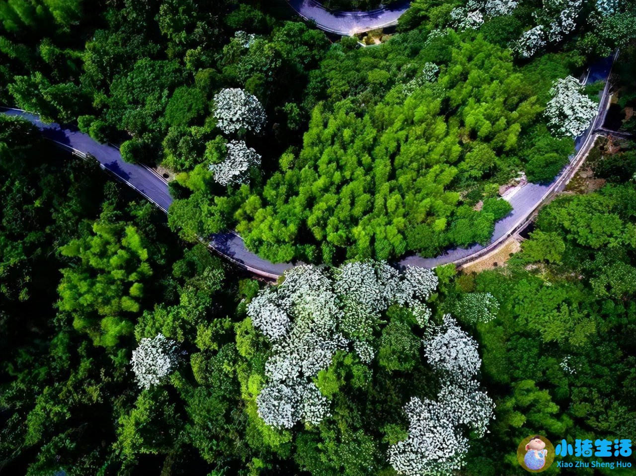 洞头县大自然旅行社有限公司