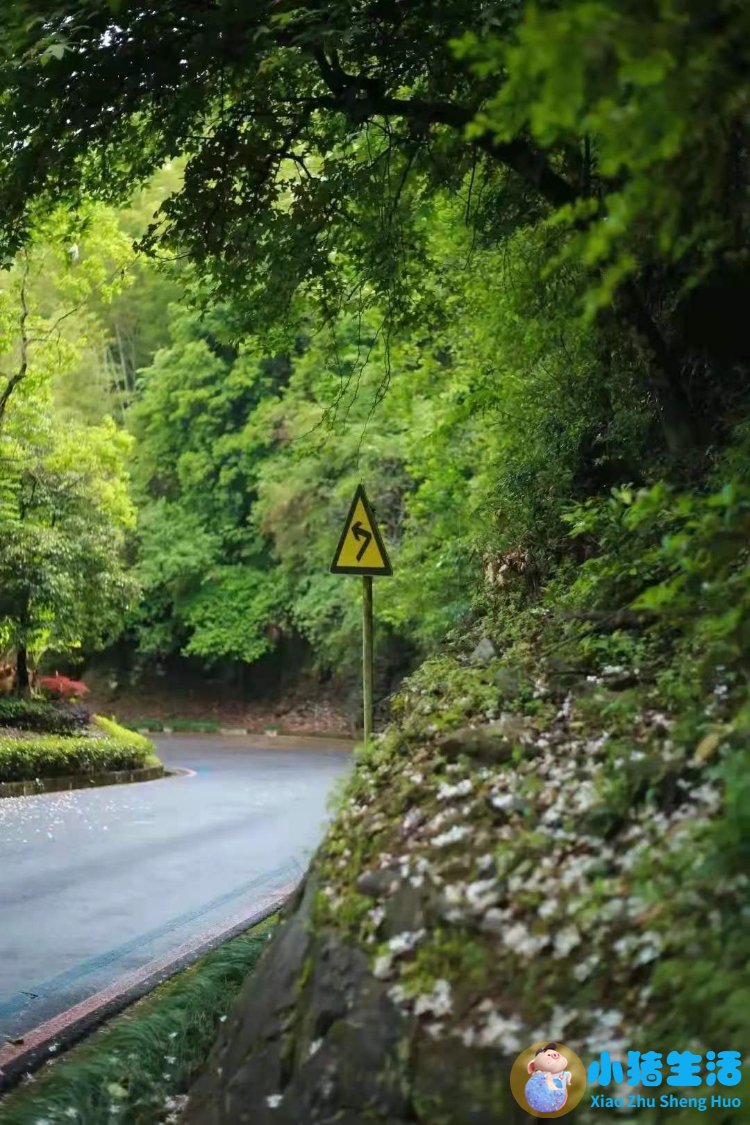 洞头县大自然旅行社有限公司
