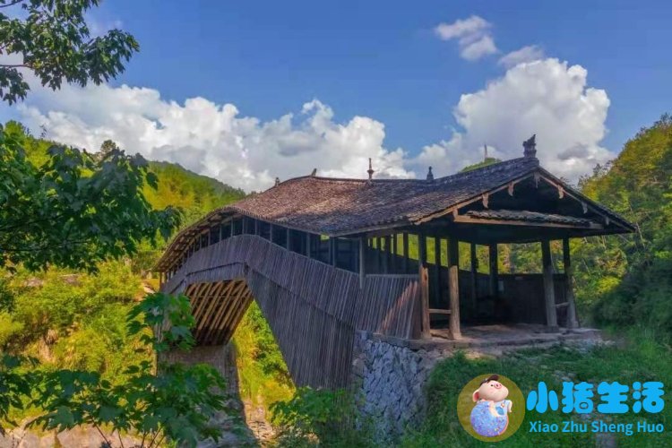 洞头县大自然旅行社有限公司