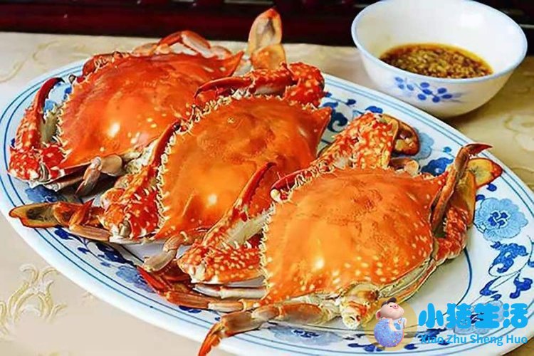 洞头县大自然旅行社有限公司