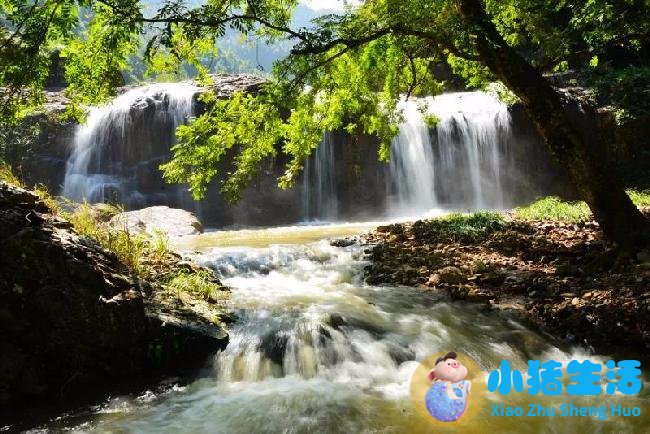 洞头县大自然旅行社有限公司