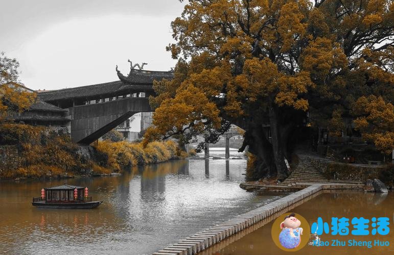 洞头县大自然旅行社有限公司