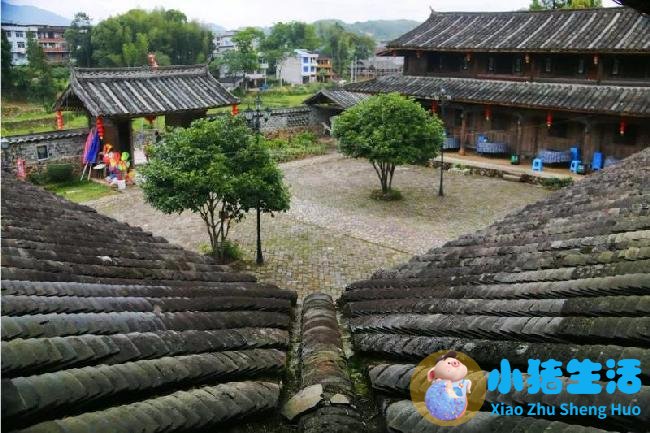 洞头县大自然旅行社有限公司