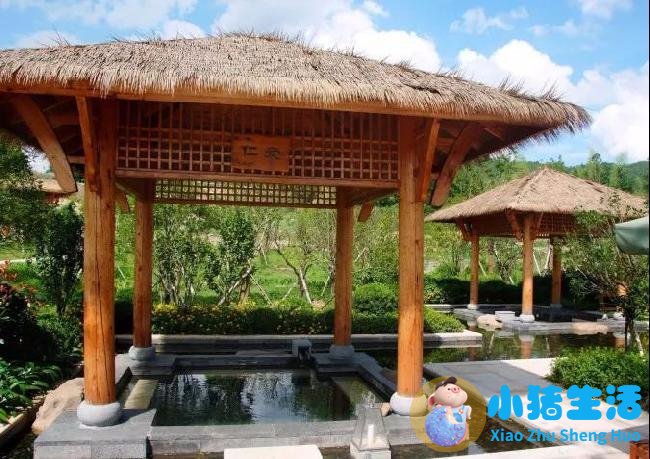 洞头县大自然旅行社有限公司
