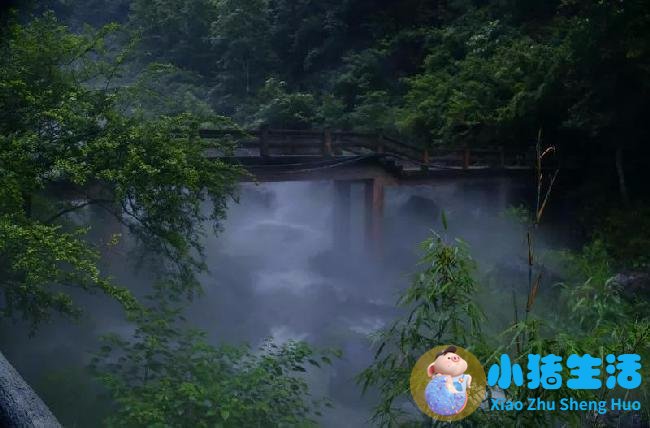 洞头县大自然旅行社有限公司