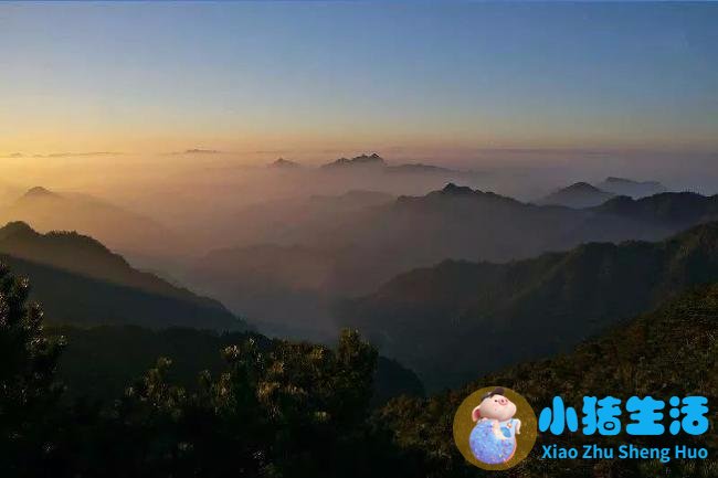 洞头县大自然旅行社有限公司