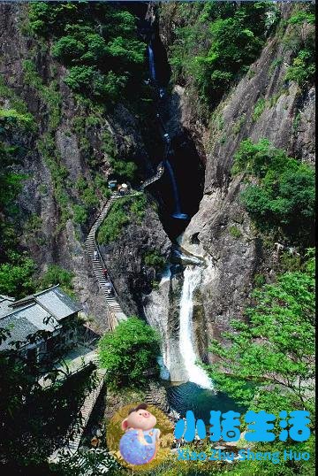 洞头县大自然旅行社有限公司