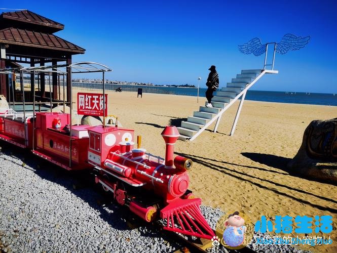 洞头县大自然旅行社有限公司