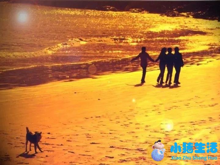 洞头县大自然旅行社有限公司