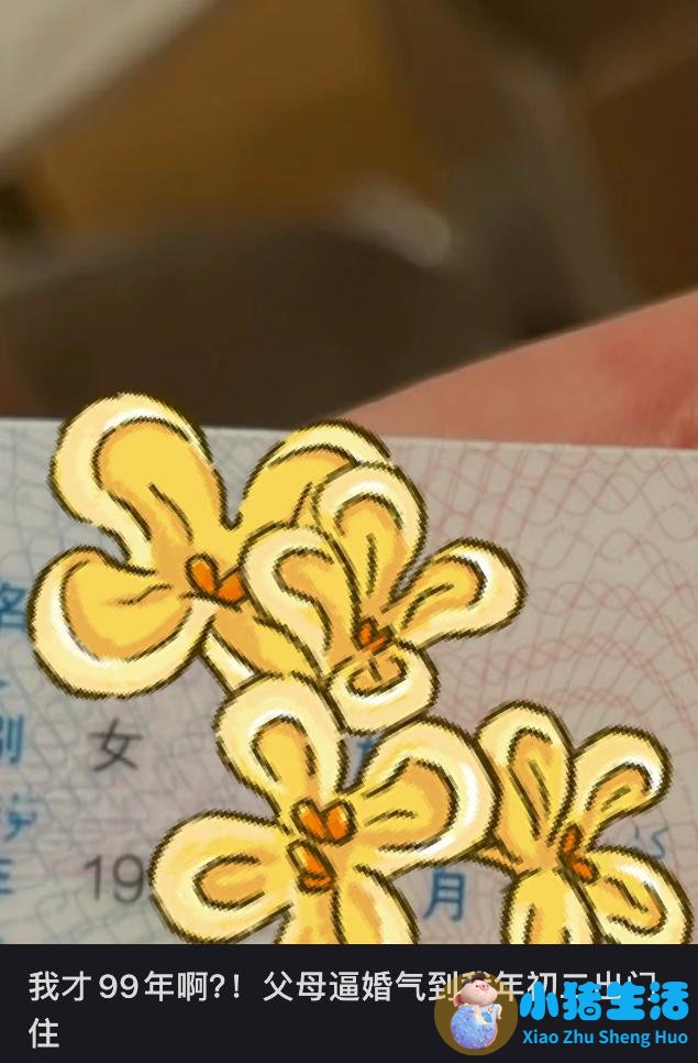 相亲方式