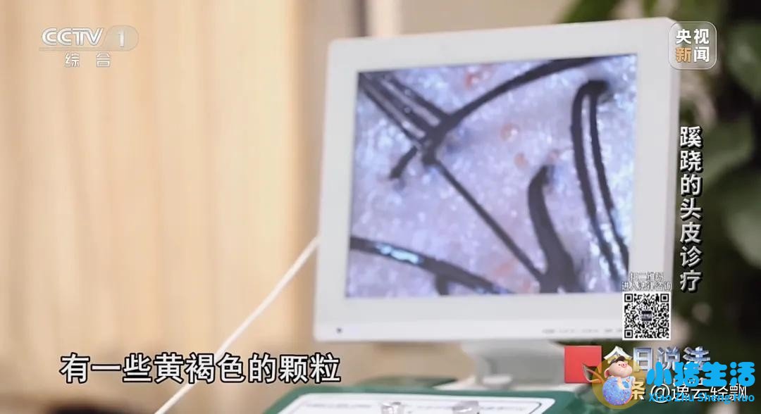 为什么海藻面膜调不好
