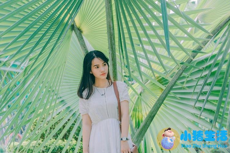 为什么海藻面膜调不好