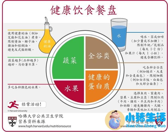 饮食减肥最快的秘诀