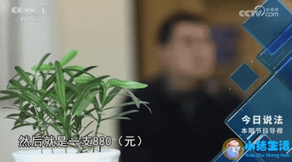为什么海藻面膜调不好