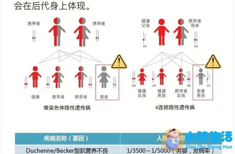 一对夫妻带孩子来查遗传病