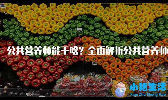 公共营养师有啥用？深度解析其在健康管