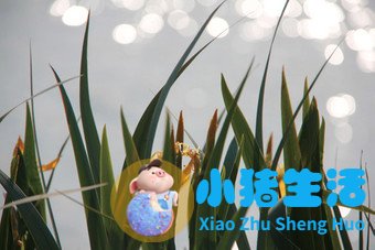 曝光补偿 揭秘最方便快捷的调节曝光方法