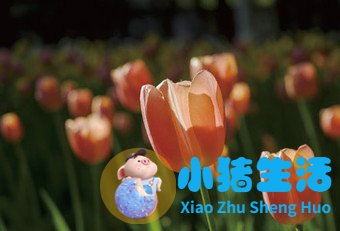 曝光补偿 揭秘最方便快捷的调节曝光方法