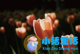 曝光补偿 揭秘最方便快捷的调节曝光方法