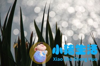 曝光补偿 揭秘最方便快捷的调节曝光方法