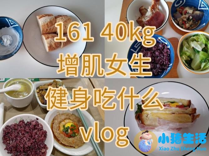 老乡鸡体重管理与运动营养需求人群深度