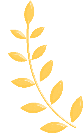 <strong>学雷锋 践初心——我市多家医疗卫生机构</strong>