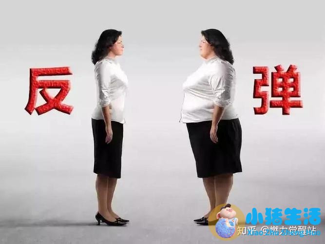 有氧运动减肥很慢
