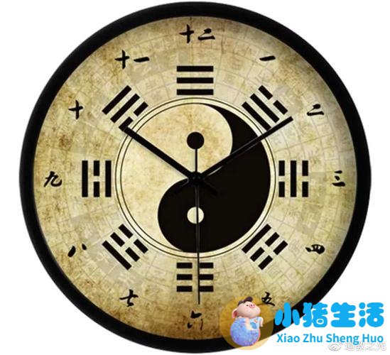 女人掉头发严重的图片