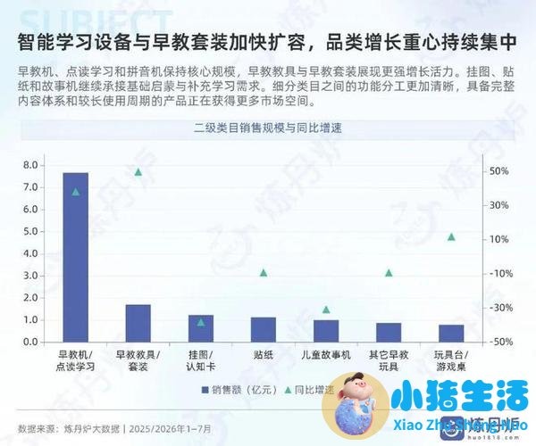 2026年中国早教行业市场调查研究报告
