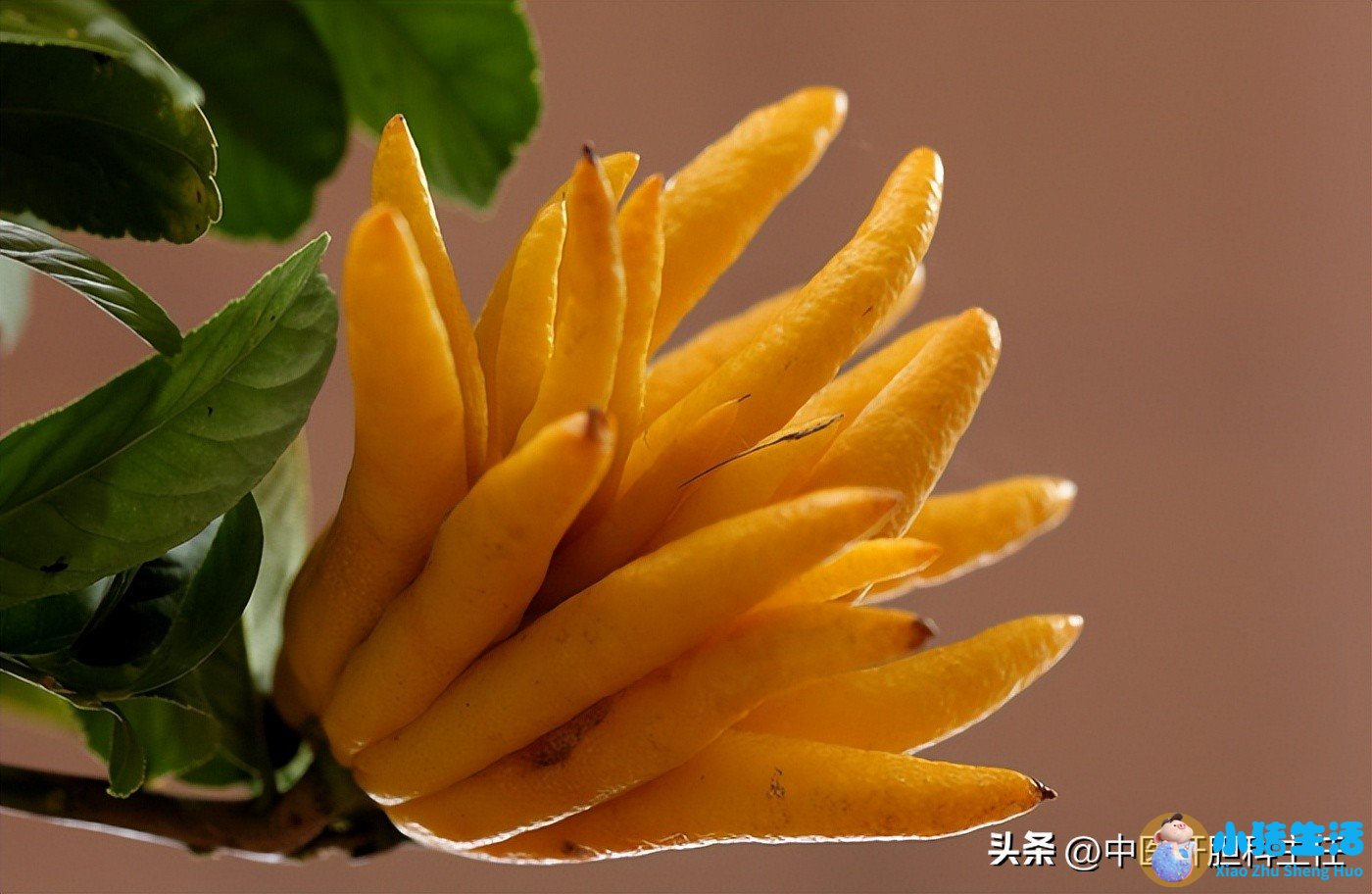 胆结石术后每天需要运动多久