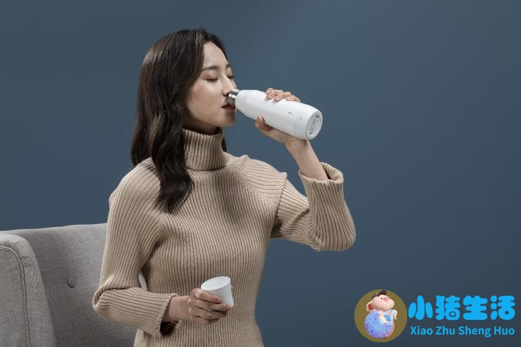 女性养生茶杯